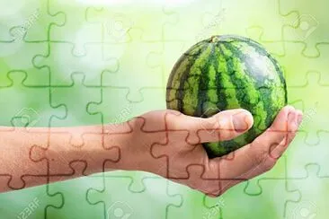 Imagem jigsaw puzzle