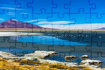 vzla jigsaw puzzle