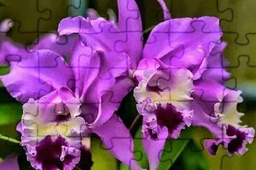 imagem jigsaw puzzle