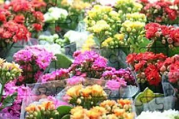 OK jigsaw puzzle