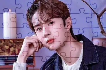 Chinese actor Wang Yibo jigsaw puzzle