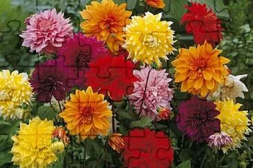 OK jigsaw puzzle