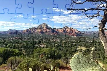  jigsaw puzzle