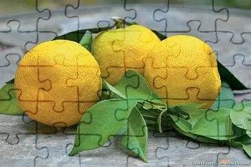 citron jigsaw puzzle