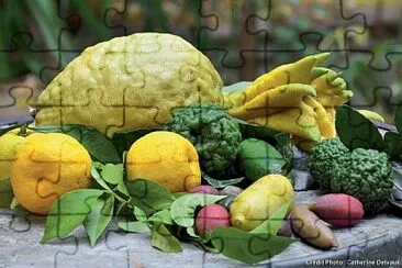 lÃ©gumes jigsaw puzzle