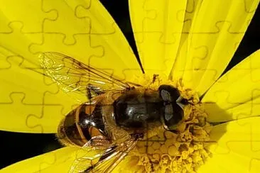 Abeille jigsaw puzzle