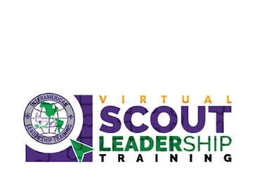 VSLT-Problem Solving jigsaw puzzle