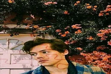 harry styles