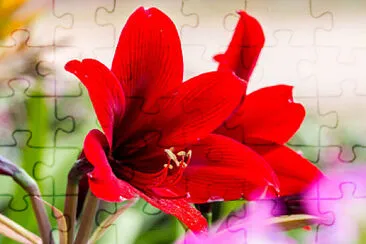 OK jigsaw puzzle