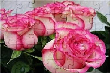 OK jigsaw puzzle