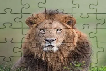 LeÃ³n jigsaw puzzle