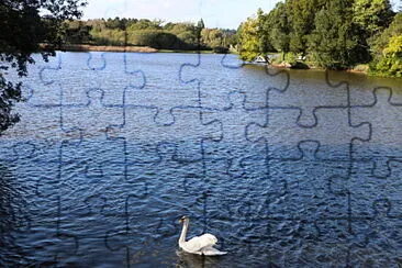 פאזל של Lonely Swan, Beaulieu, U.K.