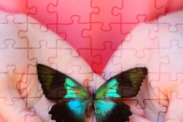 imagem jigsaw puzzle