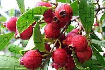imagem jigsaw puzzle
