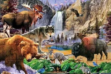YELLOWSTONE NATIONAL PARK