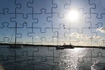 Seagulls on the scrounge - Titchmarsh, U.K. jigsaw puzzle