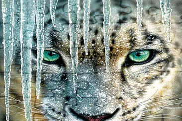 BLUE ICE jigsaw puzzle