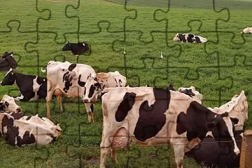 Vacas Leiteras jigsaw puzzle