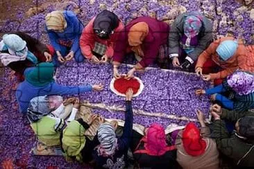 iran jigsaw puzzle