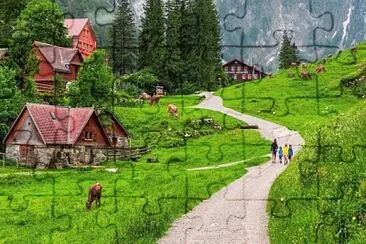 06 jigsaw puzzle