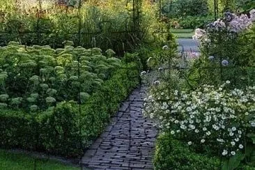 30 jigsaw puzzle