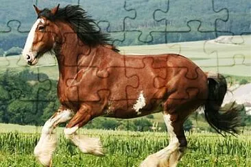 Cydesdale jigsaw puzzle