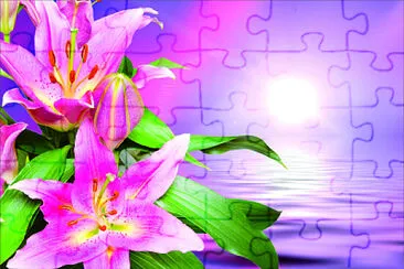 פאזל של èŠ±æ¼¾èƒŒæ™¯