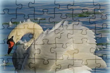 Cygne jigsaw puzzle