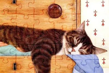 IMAGE jigsaw puzzle