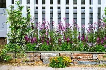 jardin