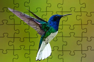 Imagem jigsaw puzzle