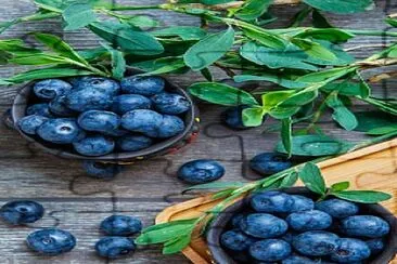 arandanos jigsaw puzzle