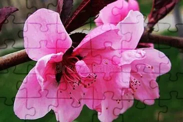OK jigsaw puzzle