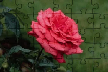  jigsaw puzzle