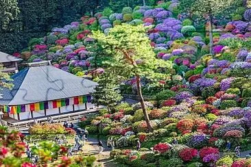 imagem jigsaw puzzle