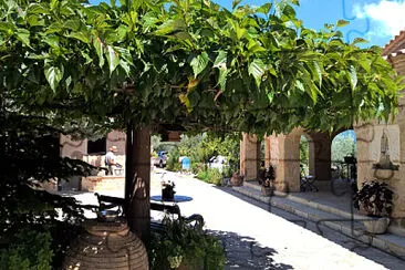 פאזל של Big Tree / groÃŸer Baum
