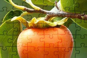 imagem jigsaw puzzle