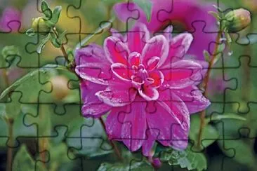 OK jigsaw puzzle