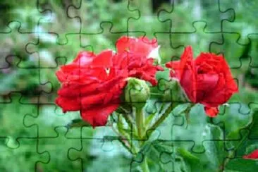  jigsaw puzzle