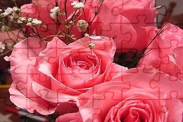  jigsaw puzzle
