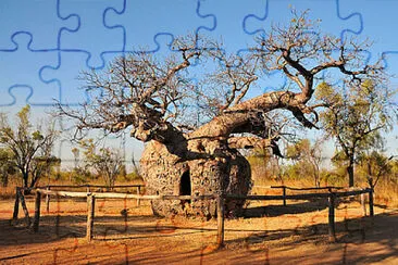 פאזל של imagem
