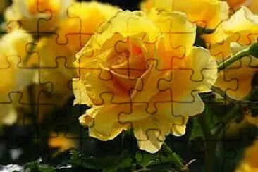 OK jigsaw puzzle
