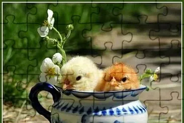 animales