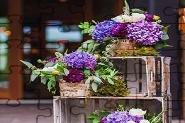 flores