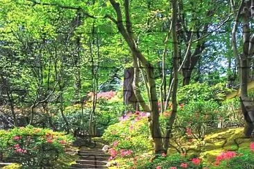 jardÃ­n jigsaw puzzle