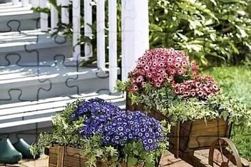 flores