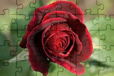 OK jigsaw puzzle