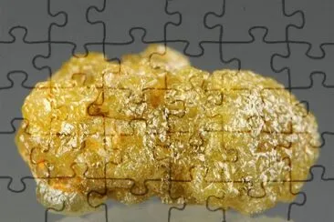  jigsaw puzzle