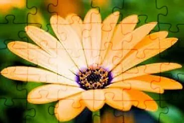 OK jigsaw puzzle