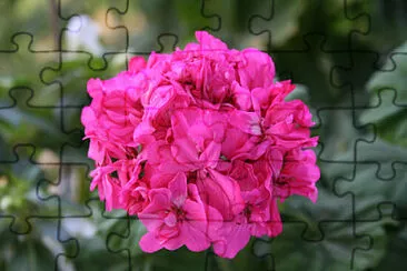 OK jigsaw puzzle